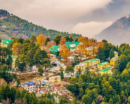 Dalhousie Nature & Wildlife Tour