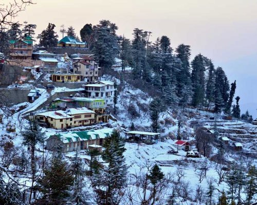 Shimla & Kufri Tour