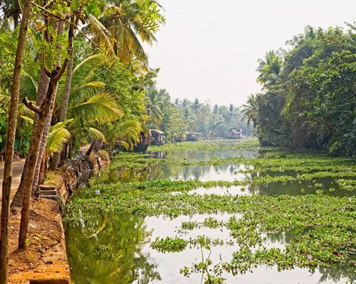 Kerala Hill Station & Backwater Tour