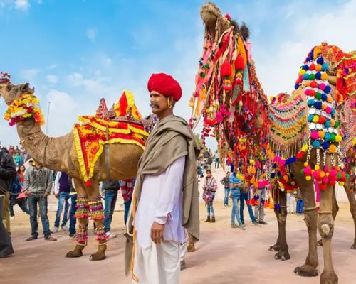 Pushkar Fair Special Package