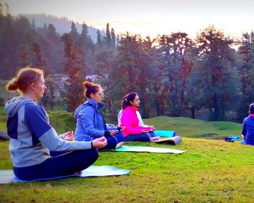 Shimla Yoga & Wellness Retreat
